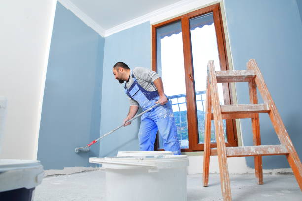 Best Mold Damage Restoration  in Monroe Manor, NJ