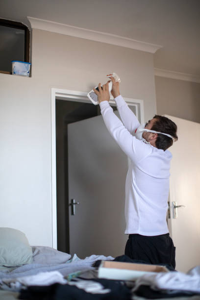 Trusted Monroe Manor, NJ Mold Removal Experts