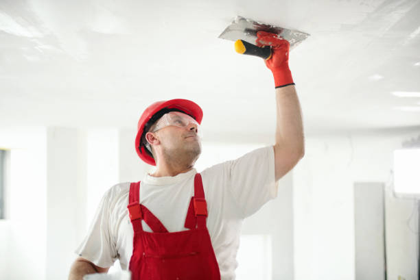 Best Water Damage & Mold Remediation  in Monroe Manor, NJ