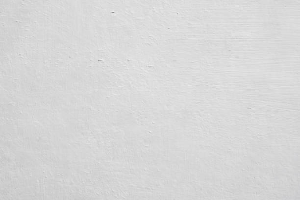 Best Mold Prevention Services  in Monroe Manor, NJ