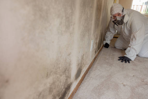Best Mold Removal for HVAC Installations  in Monroe Manor, NJ