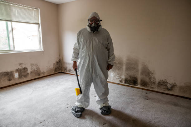 Best Asbestos and Lead Testing During Mold Inspection  in Monroe Manor, NJ